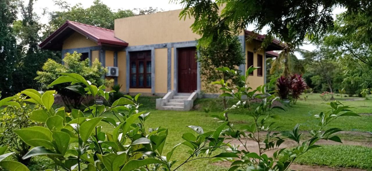 Villa De Lagoon View 탕갈레 외부 사진