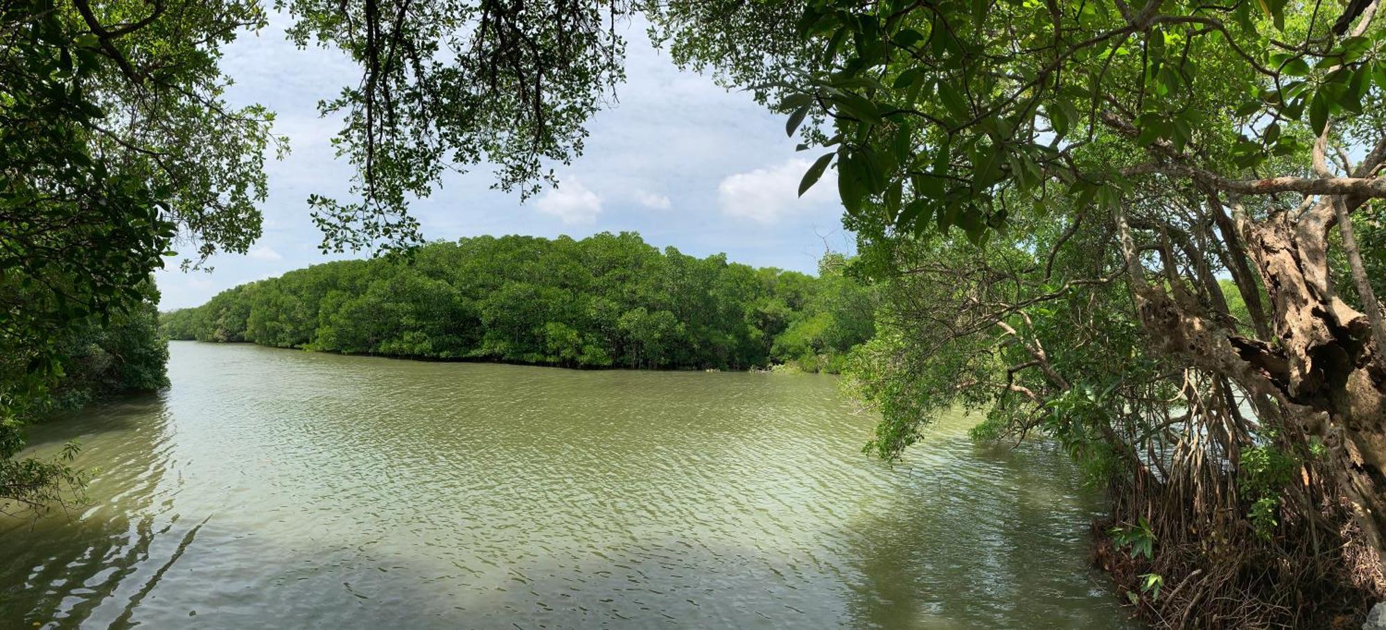 Villa De Lagoon View 탕갈레 외부 사진
