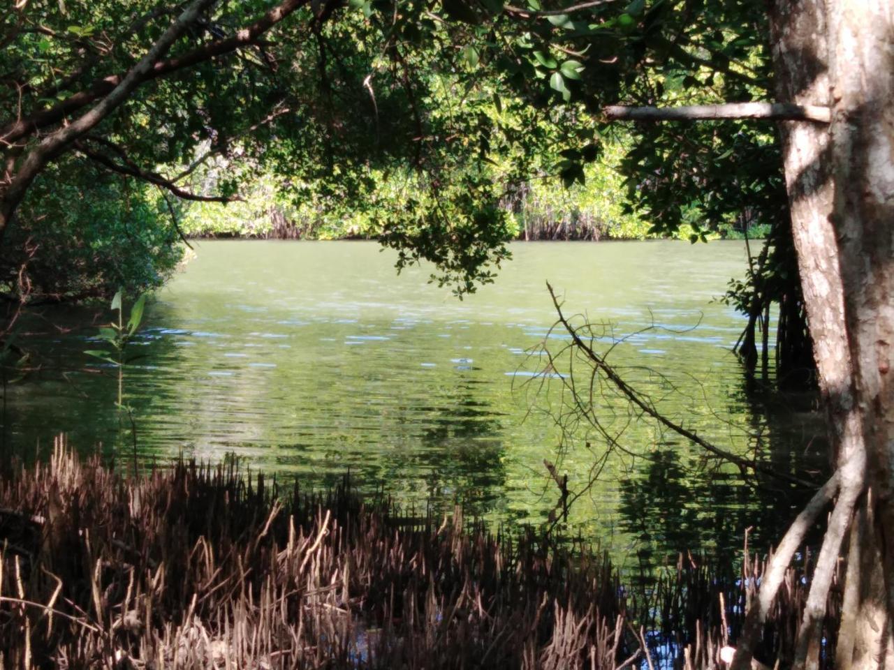 Villa De Lagoon View 탕갈레 외부 사진