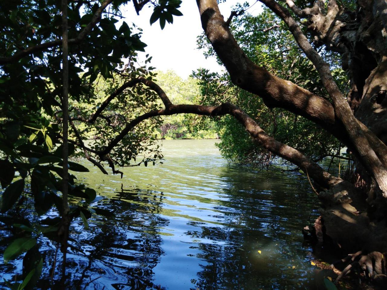 Villa De Lagoon View 탕갈레 외부 사진